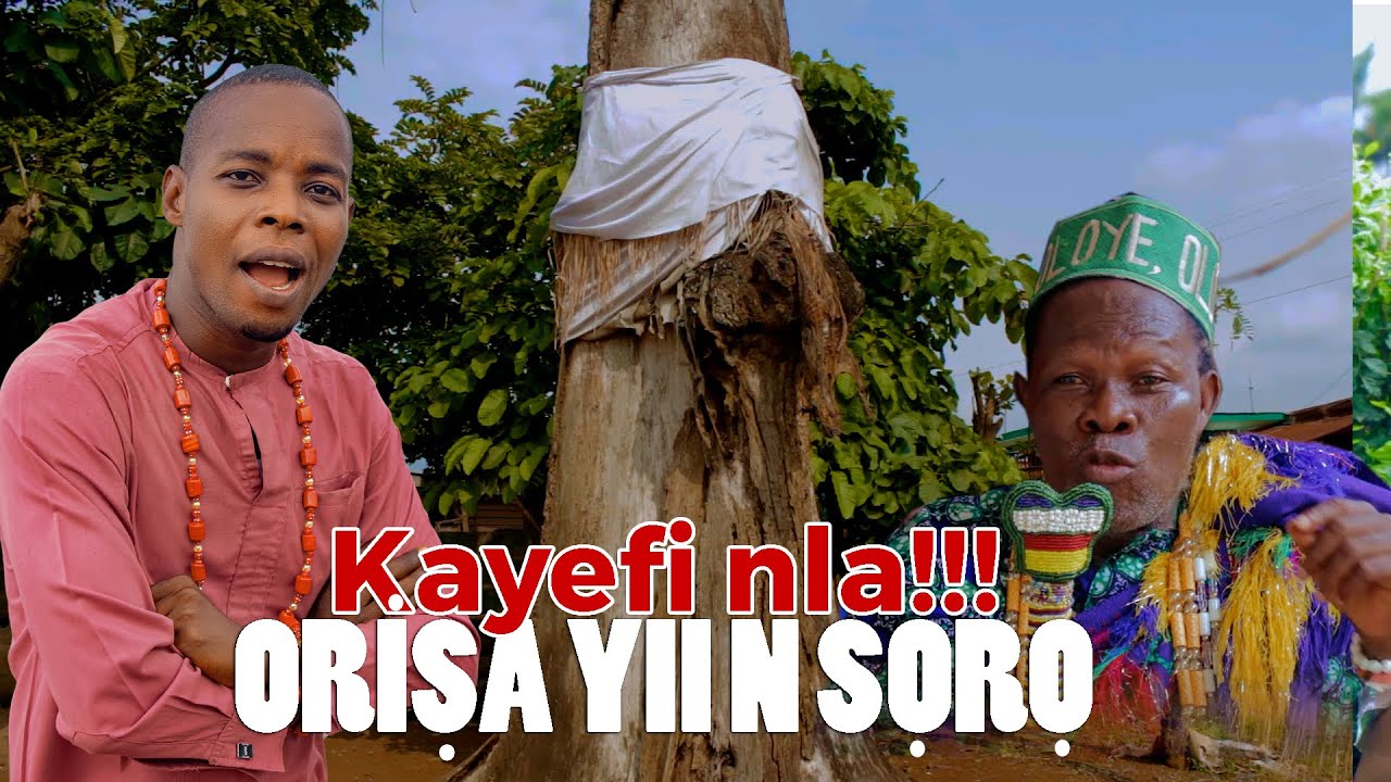 Kayefi re o Orisa yii n soro | People Hear Voices From This obirin ojowu Iroko Tree