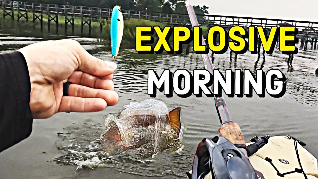 Как поймать морского окуня и морскую форель — рыбалка с каяка в Чарльстоне