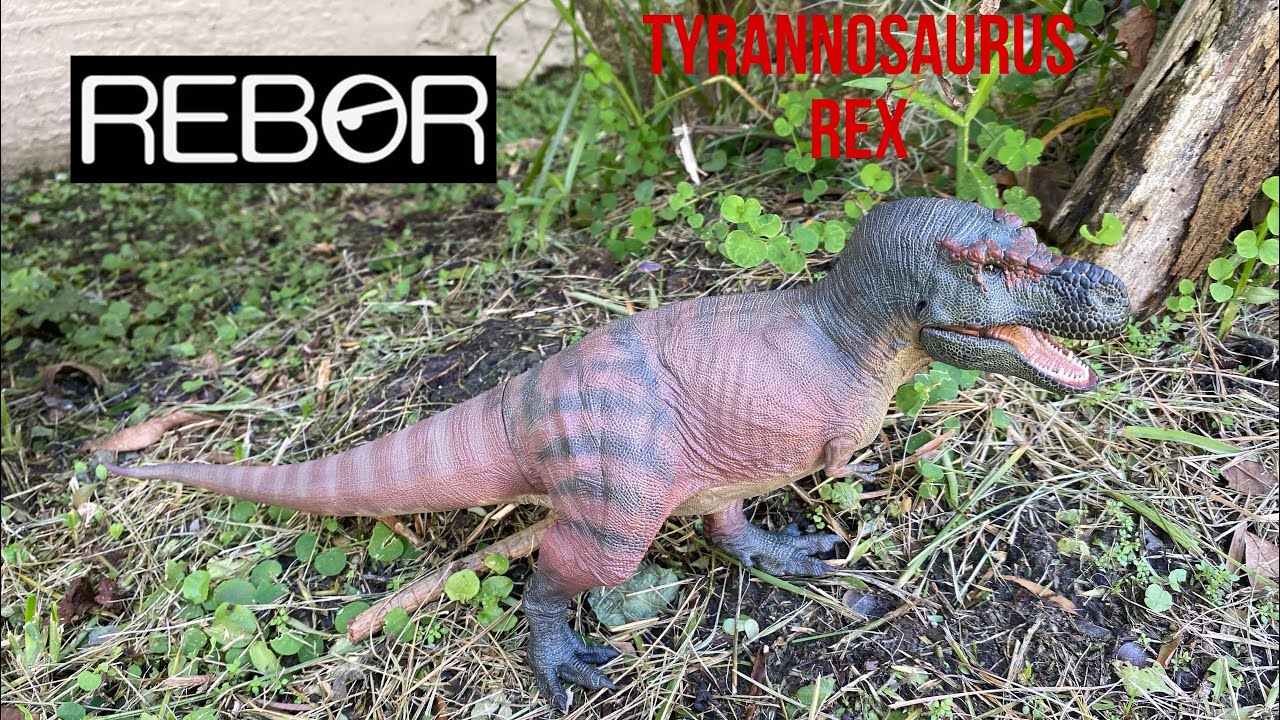 Rebor Tyrannosaurus “Kiss” review