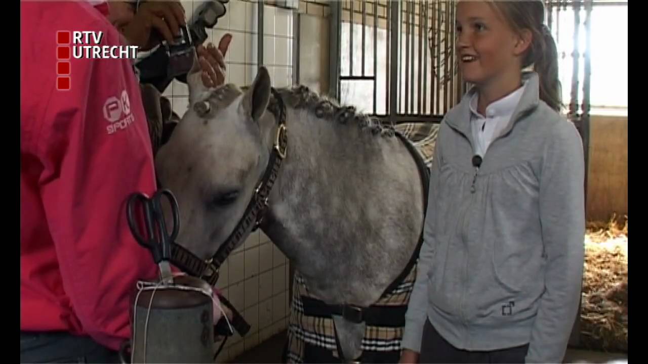 Regiokampioenschappen voor paarden