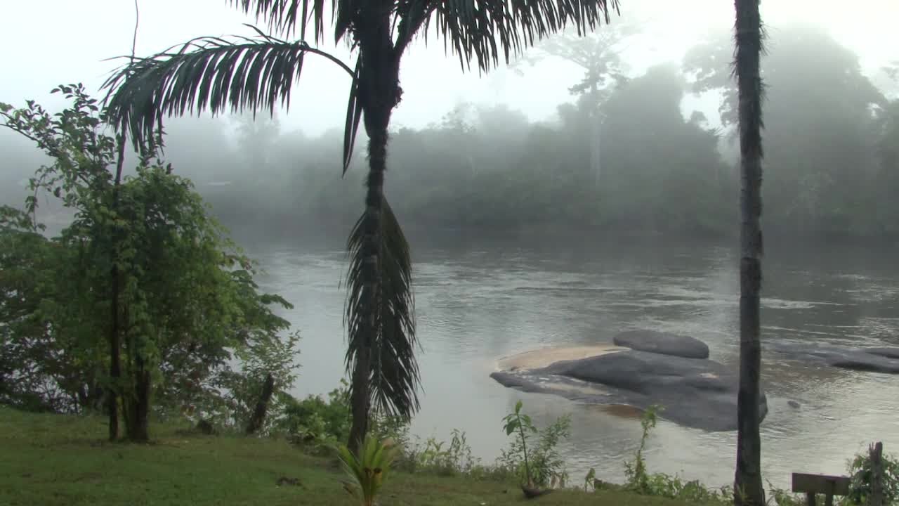 Surinam. Pingpe & jungle, Back-to-Basic? *** trailer ***