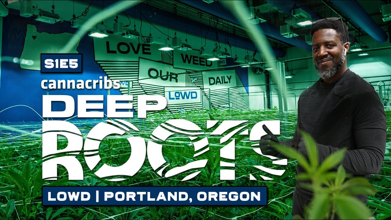 Craft Cannabis Brand in Portland, Oregon: LOWD