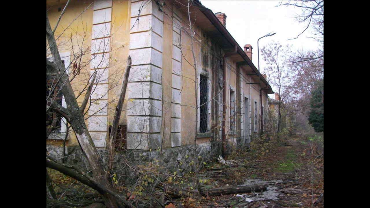 TRIESTE  2011