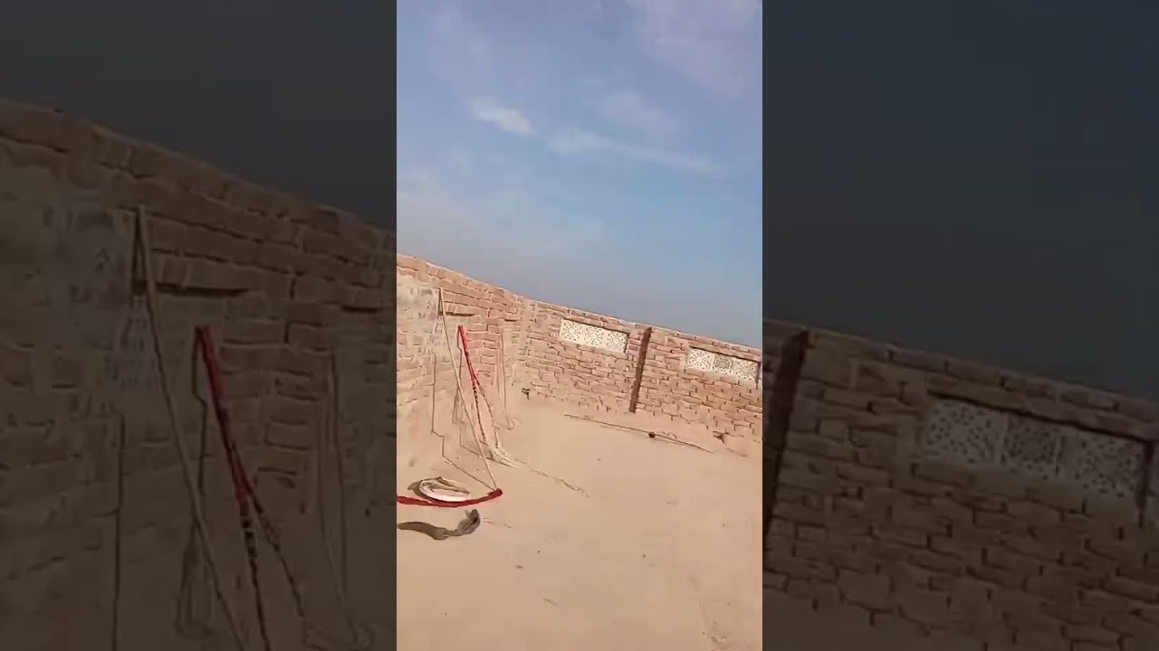 IKRAM DYU DAILY VLOGS is live! pigeon 🕊️ love