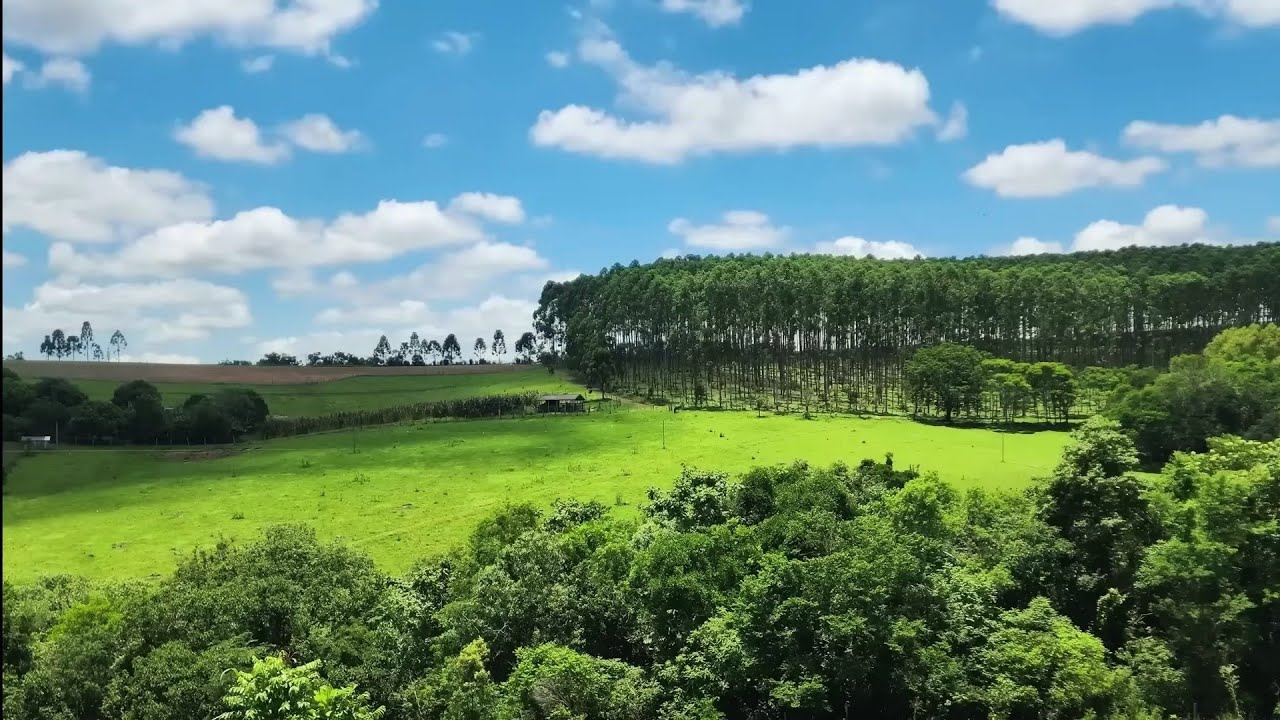 ®SÍTIO ÓTIMO PARA LAVOURA AGRICULTURA- RECORDAÇÕES SERGIO HENRIQUE