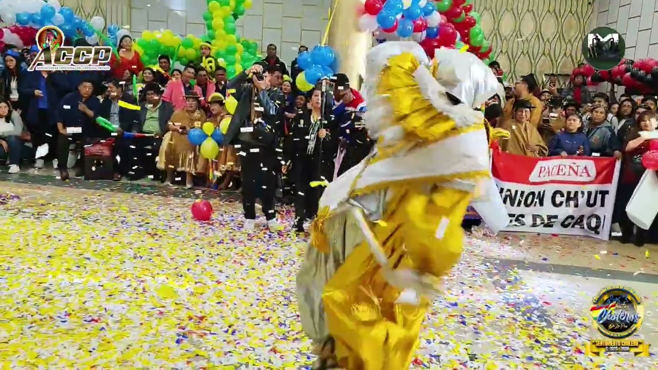 CHUTAS CHOLEROS DE LA PAZ Y SUS LINDAS BELLEZAS TIPO HOLADESAS 2026