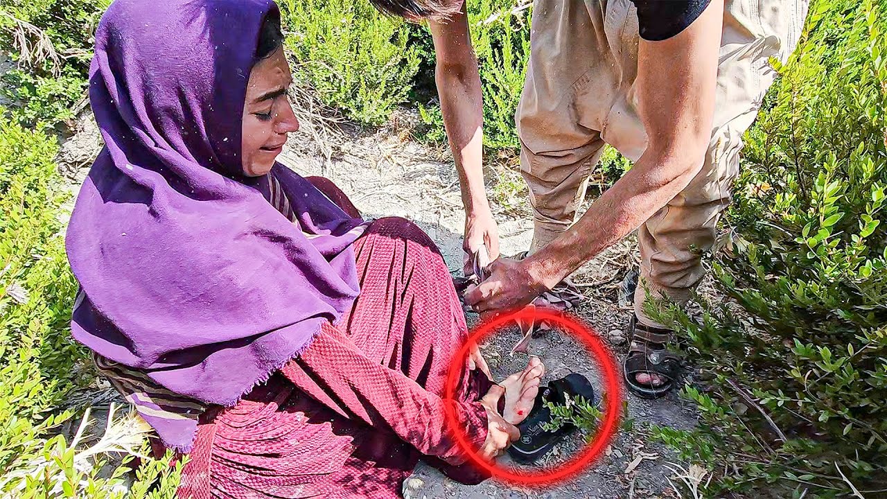 Mysterious Encounter: NARGES Stung by an Unknown Creature! 🐍