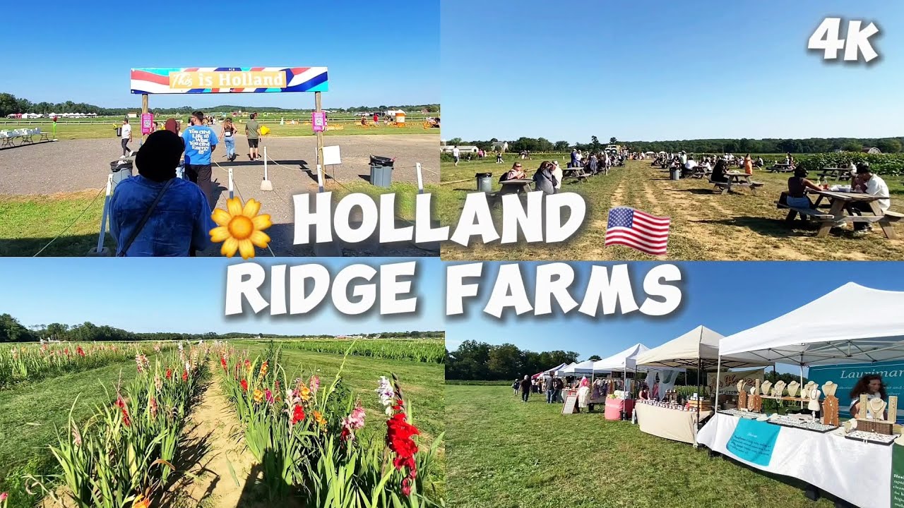 Peaceful Walk Through HOLLAND RIDGE FARMS | BIGGEST U-PICK FLOWER FARM | 4K Walking