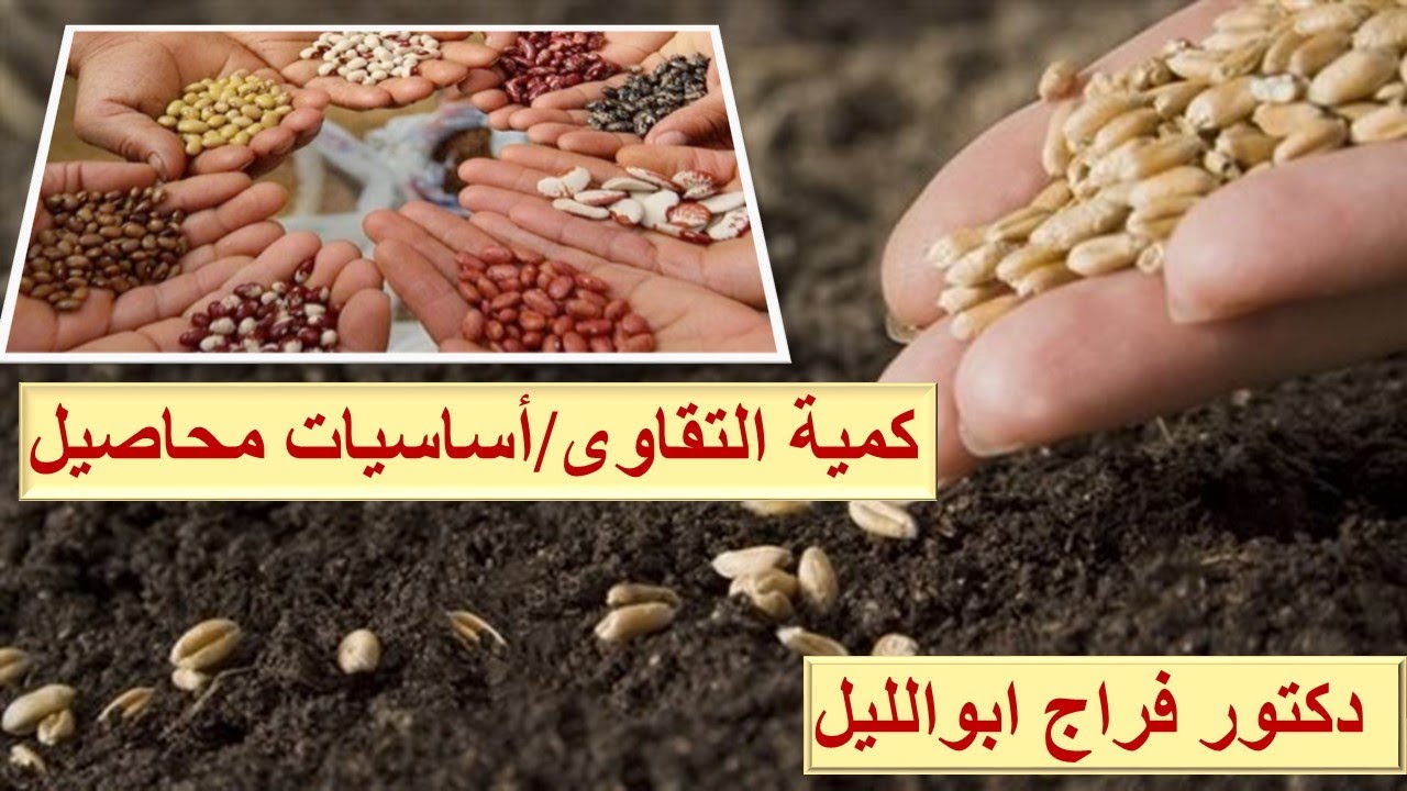 كمية التقاوى / أساسيات المحاصيل