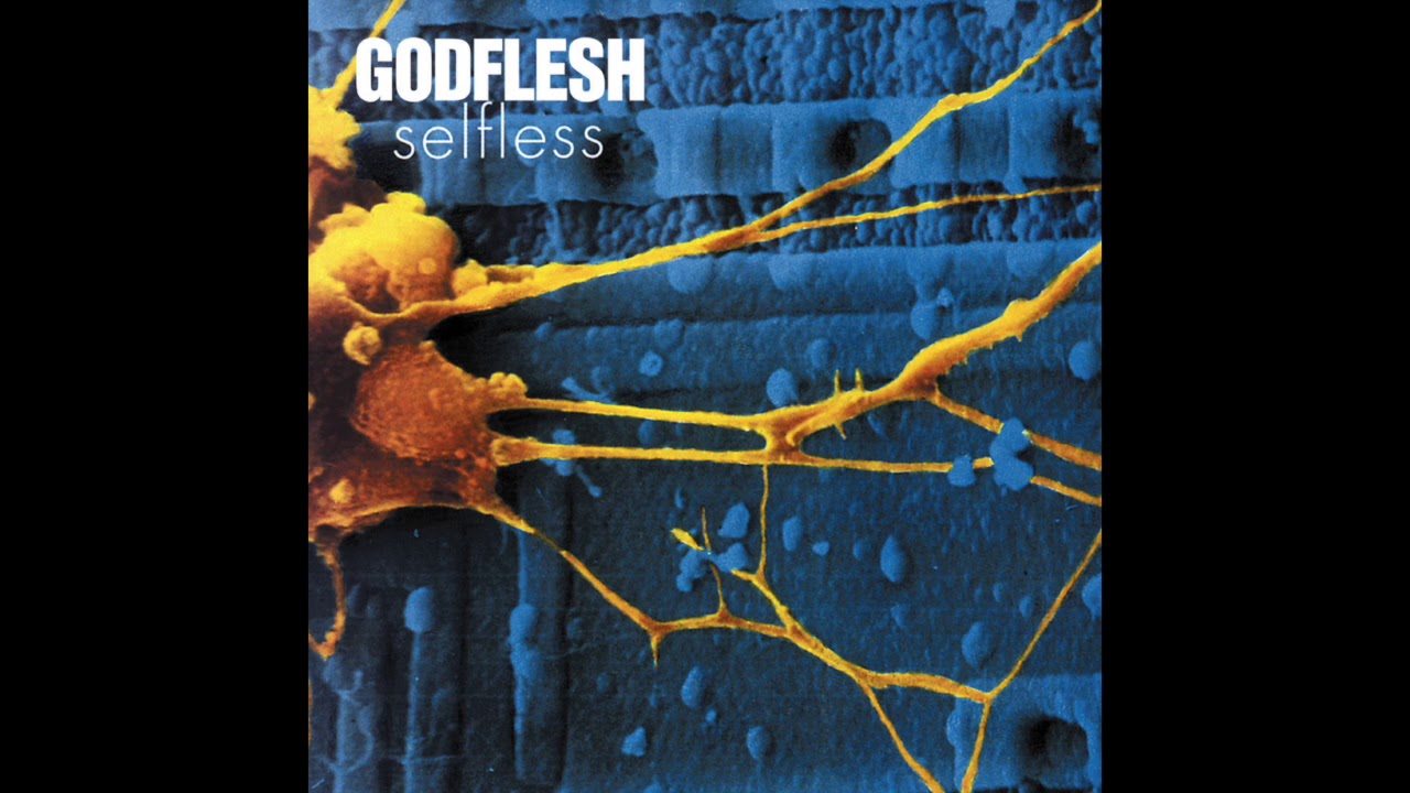 Godflesh - Heartless