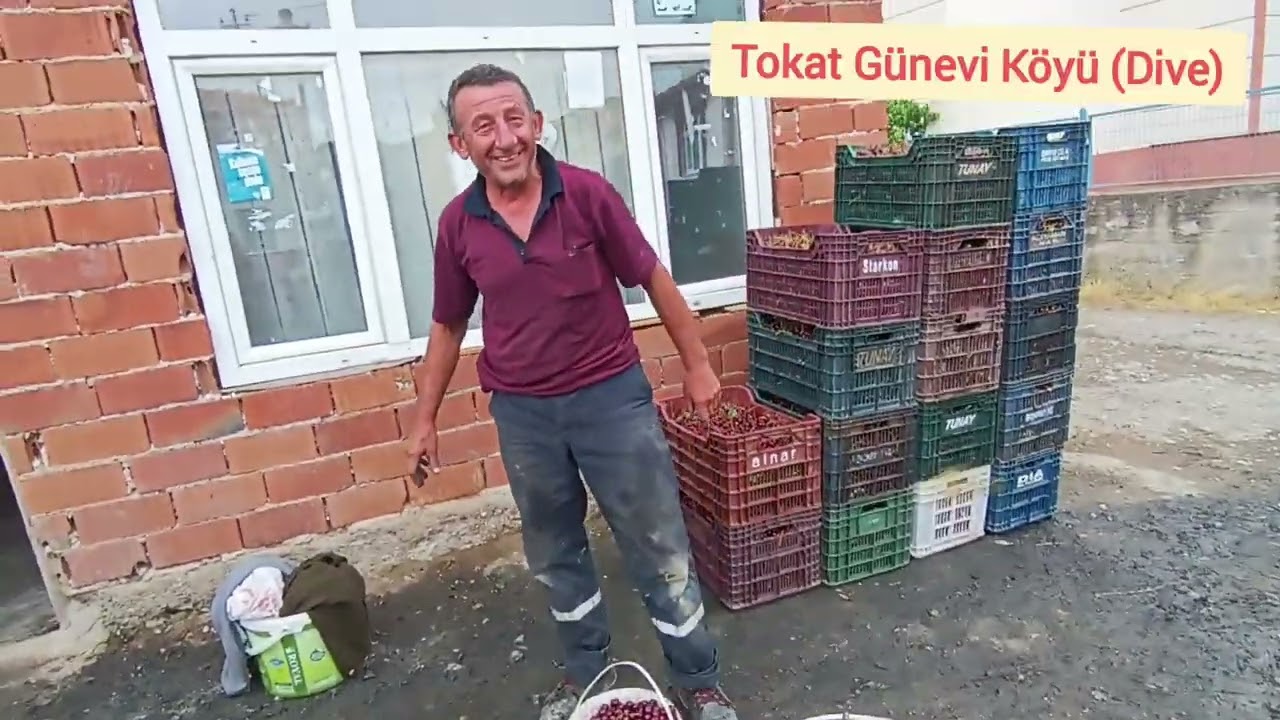 Tokat Günevi Köyü Dive Koyu