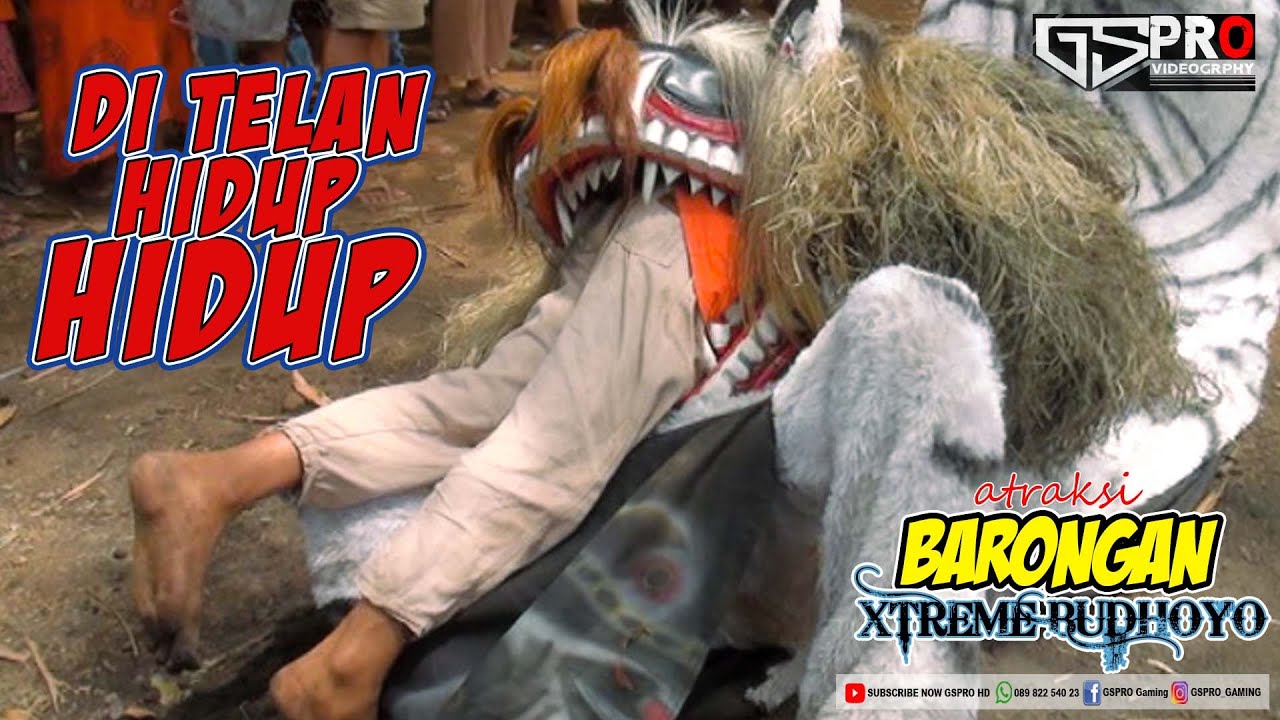 Barongan Makan Orang | Jadi Tumbal Barongan | X-Treme Budhoyo
