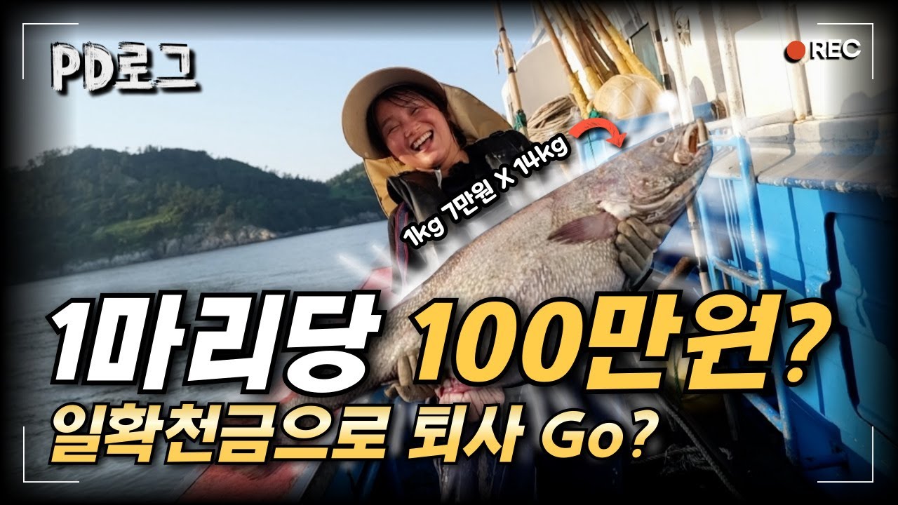 민어 한 마리에 100만 원?! | PD로그 | 19화 만선의 꿈, 민어잡이 1/2