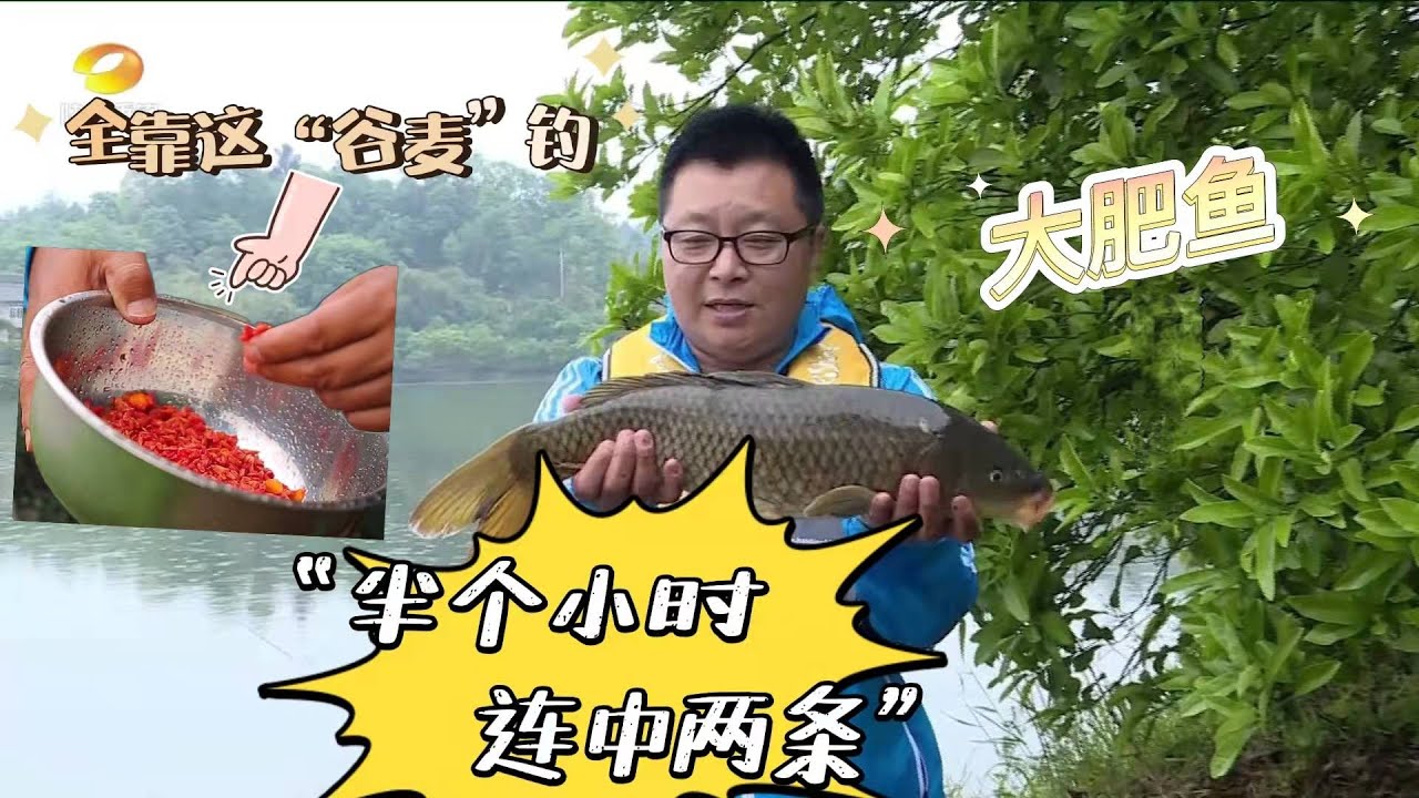 谷麦钓法高手与对手来比拼，仅靠低平抛二两谷麦，便接连中大鱼！