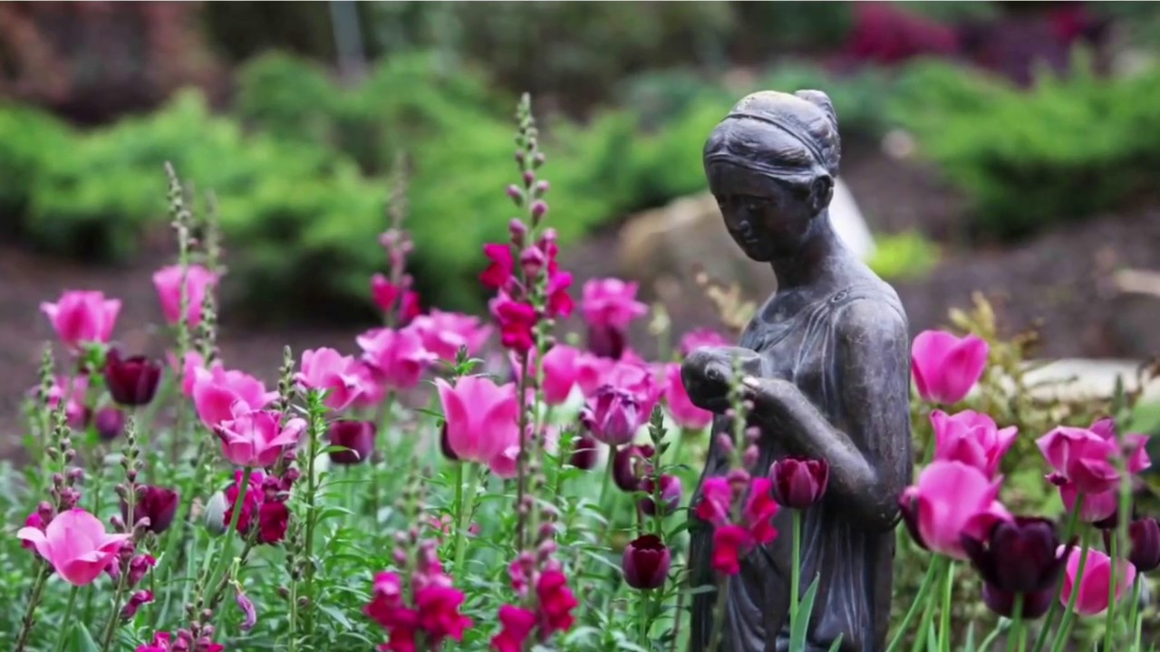 Blooming Tulips & Daffodils Spring Bulb Garden Tour//The Graceful Gardener