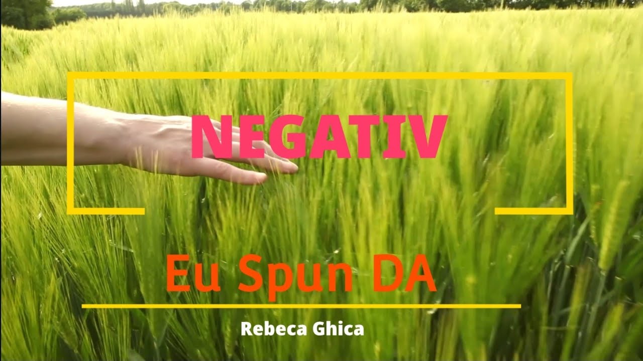 Rebeca Ghica-NEGATIV-2021  EU  SPUN DA