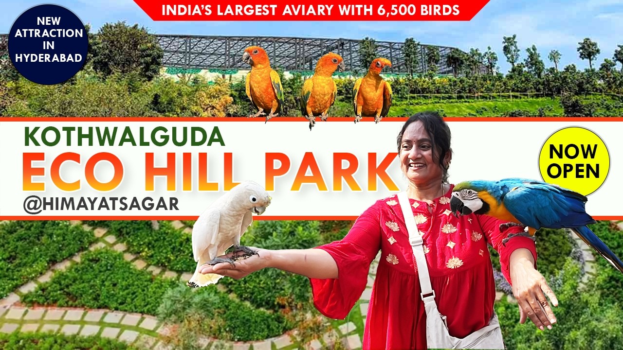 Kothwalguda Eco Park Hyderabad 🌿❤️|| Biggest Birds Aviary in India || HimayatSagarEcoPark