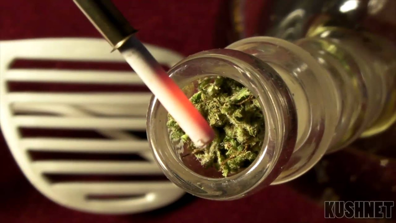 Weed-Star Messias Illusion Color Perc