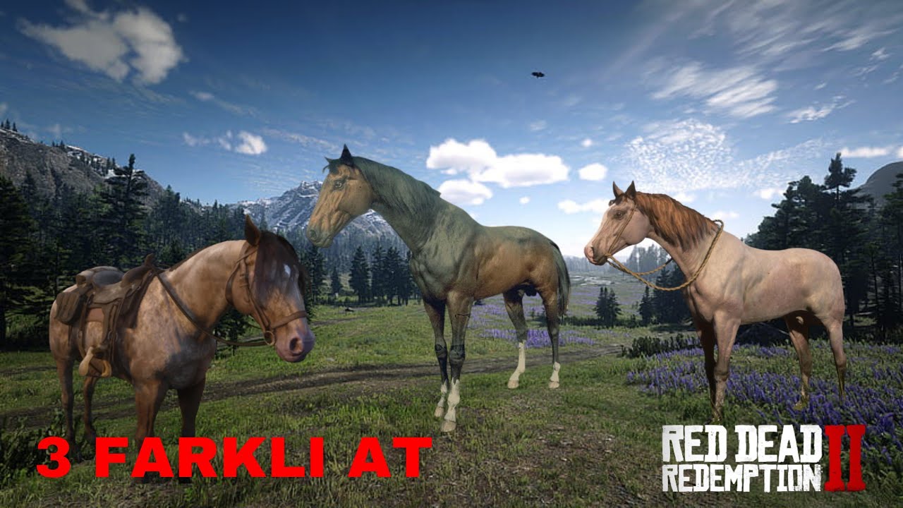3 NADİR AT! RDR 2 BEDAVA AT ALMA