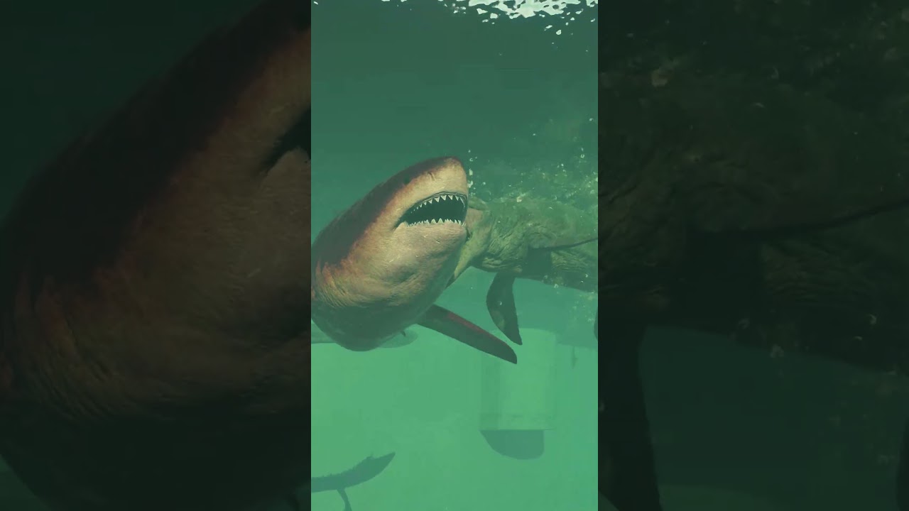 MEGALODON VS MOSASAURUS IN JURASSIC WORLD EVOLUTION 2 #mosasaurusvsmegalodon #megalodon #mosasaurus
