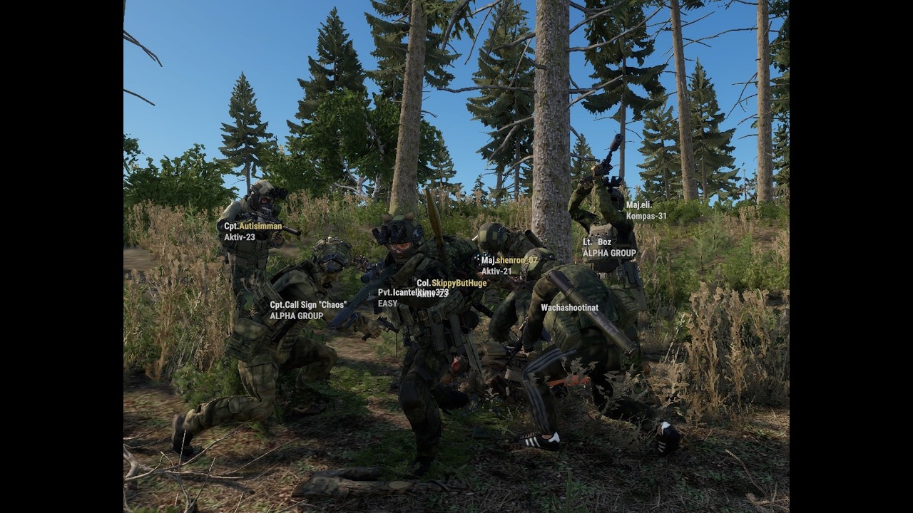 WE PUT THE ARMY IN ARMA