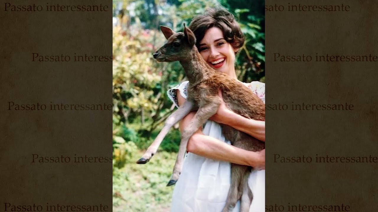 90 photos anciennes choquantes à voir absolument