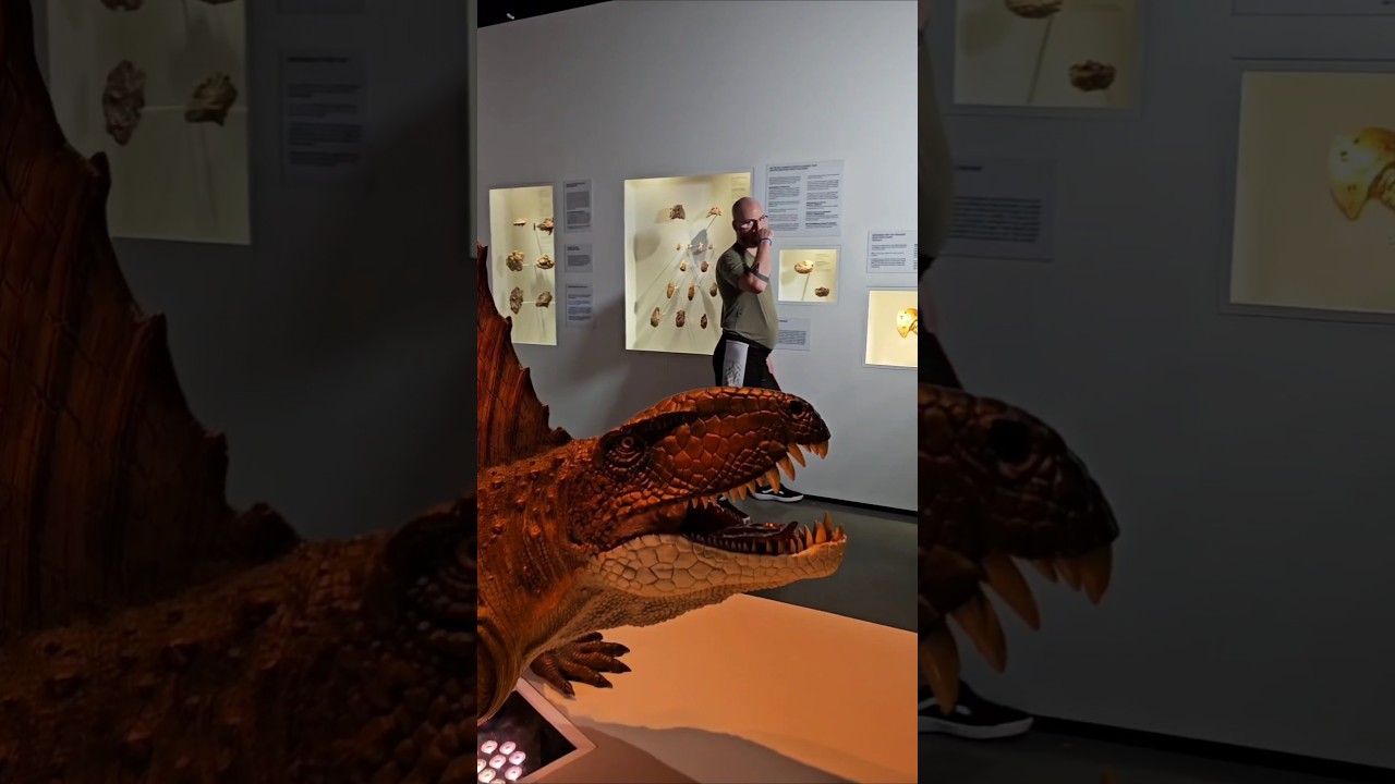 Dimetrodon is NOT a dinosaur!!! 
