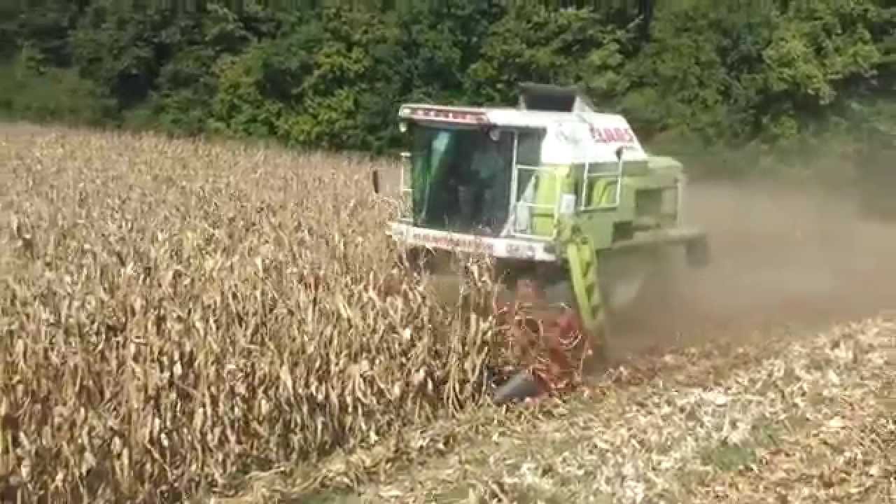 Vrsaj Kukuruza Claas Dominator 88s Sovljak-Ub (2015)