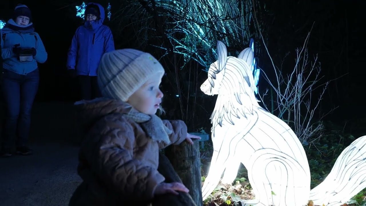 Lichtfestival Planckendael
