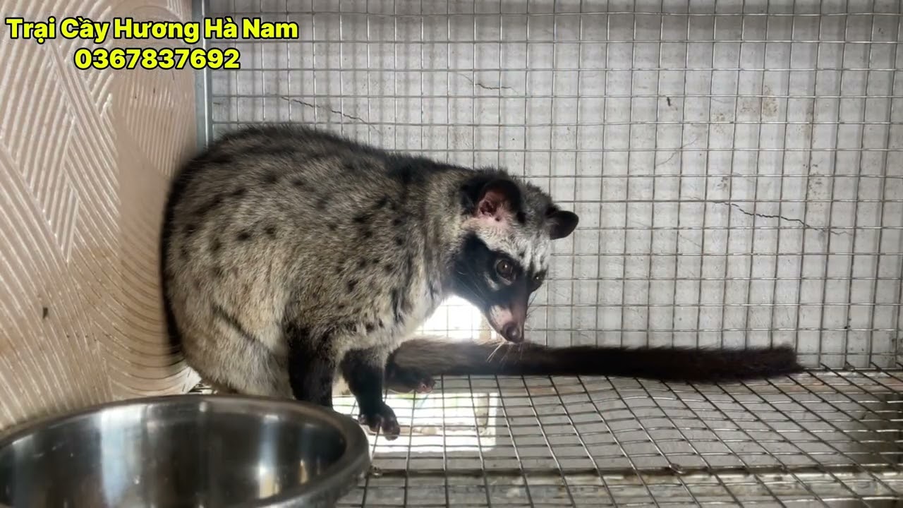 thu hồi vốn sau hai tháng và lợi nhuận tiền tỷ có thật không ???