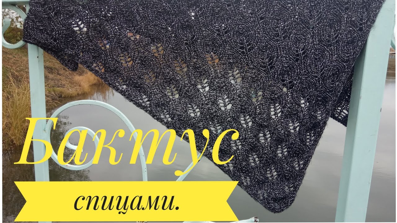 Бактус спицами МК.