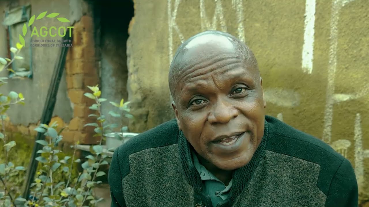 Beno Mgaya: Kutoka Kugema Ulanzi Hadi Kuwa Mkulima wa Parachichi na Viazi wa Kuigwa