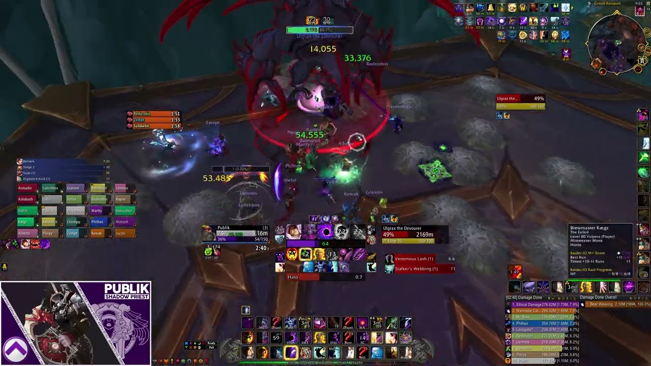 Shadow Priest vs. Mythic Ulgrax the Devourer (Nerub-ar Palace) (11.0.5)