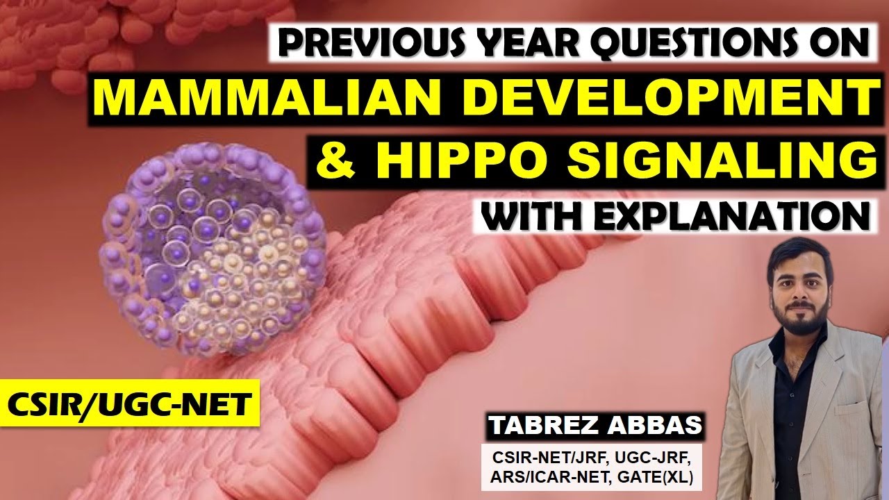 PYQs ON HIPPO SIGNALING PATHWAY & EARLY DEVELOPMENT IN MAMMALS || DEVELOPMENT BIOLOGY CSIR-NET ||