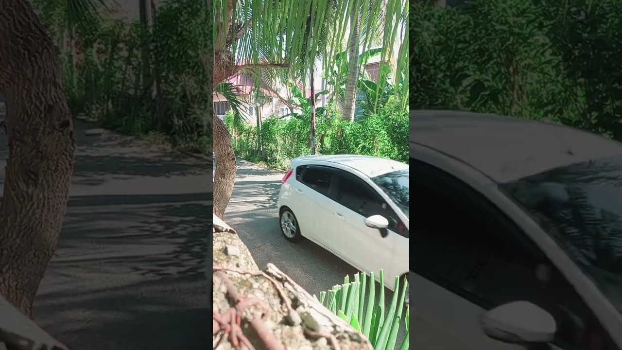 DJ TIKTOK TERBARU 2025🎵DJ JANGAN TUNGGU LAMA LAMA🎵DJ IDGITAF - SEDIA AKU SEBELUM HUJAN