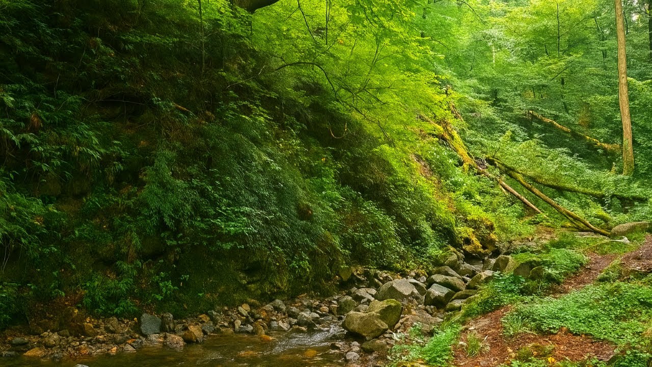 🍃☁️ Serene Jungle Trail with Flowing River | Peaceful Mountain Nature Sounds in a cloudy day 🌿