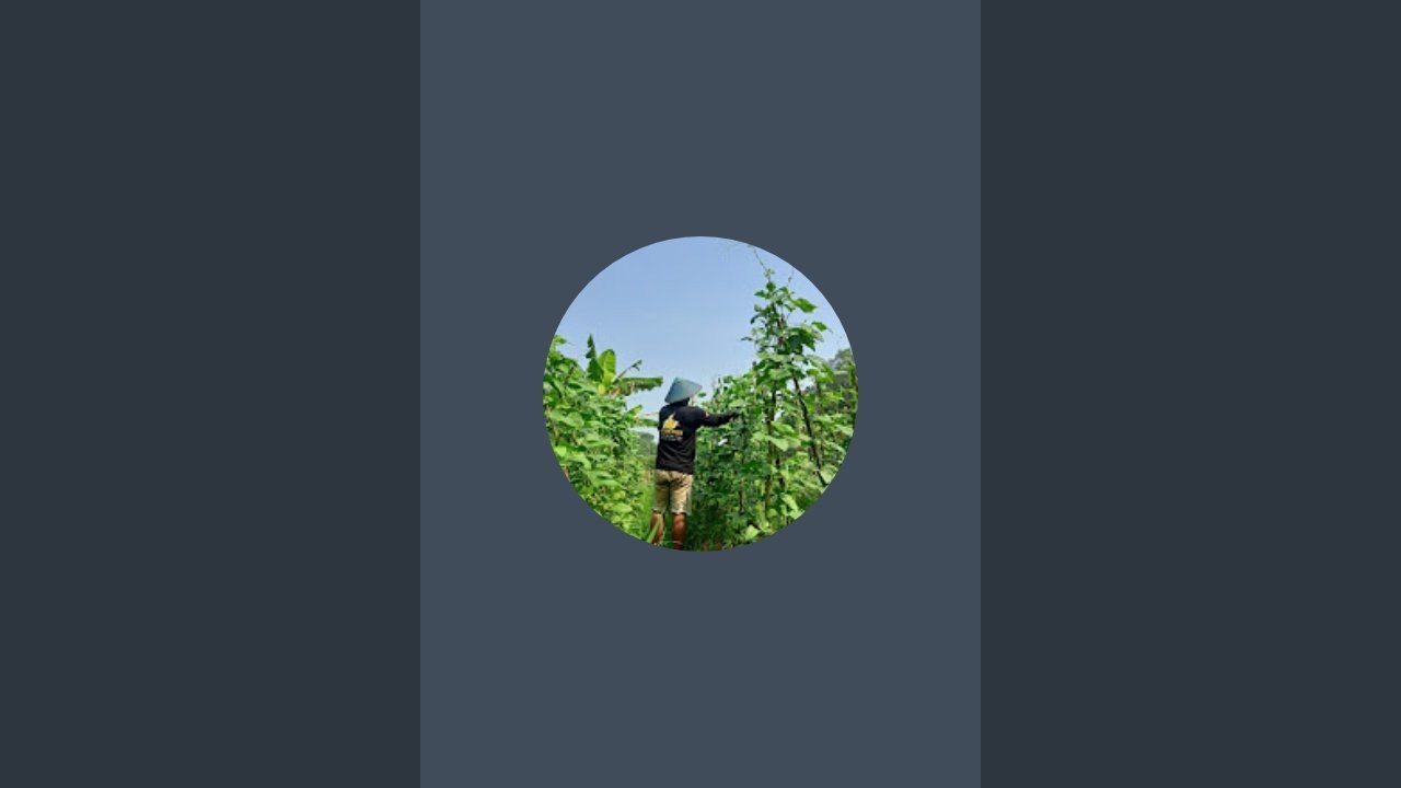 surana petani muda berkreasi(jaga alam) sedang live sekarang!