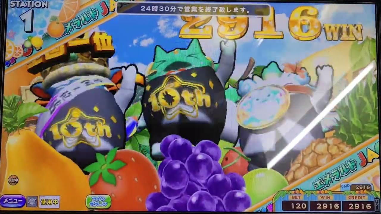 【カラコロッタ トロピカルリゾート】エメラルド2772JP