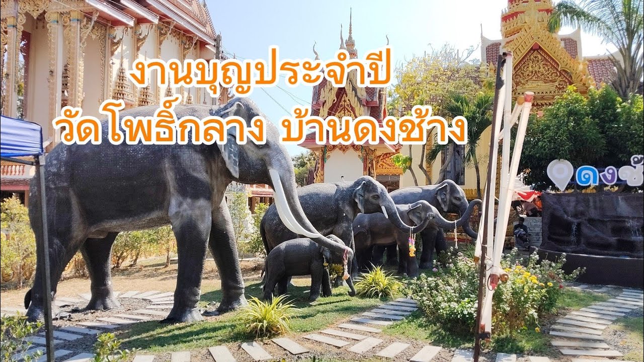 งานประจำปีวัดโพธิ์กลาง บ้านดงช้าง ปทุมรัตต์ 101.
