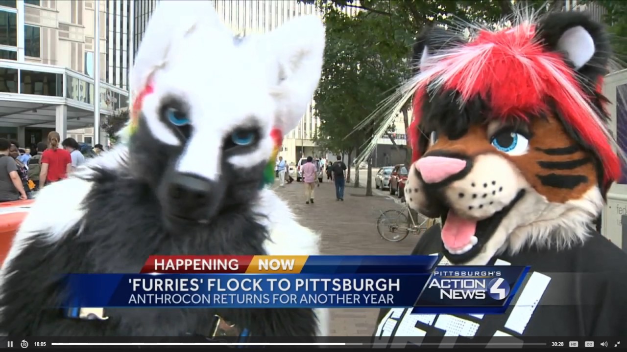 Anthrocon 2017 Segment - WTAE Pittsburgh Action News 4