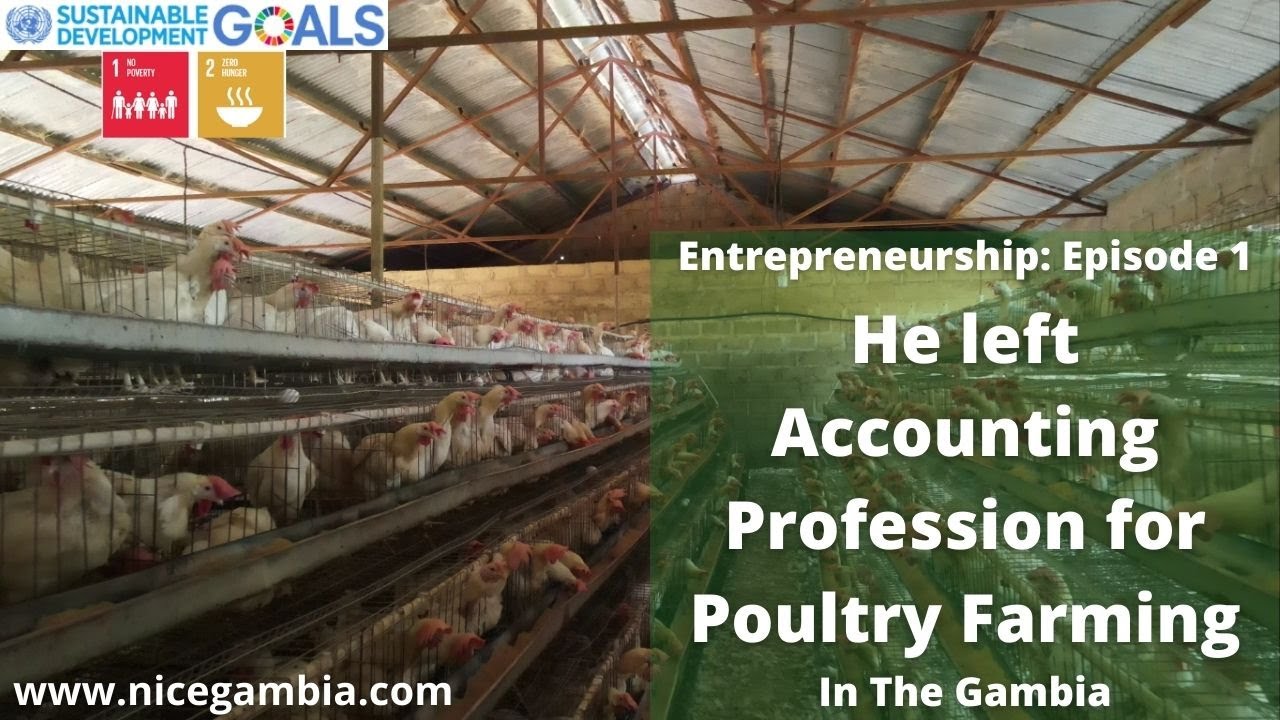 How he left Accounting Profession for Poultry and Banana Farming in The Gambia