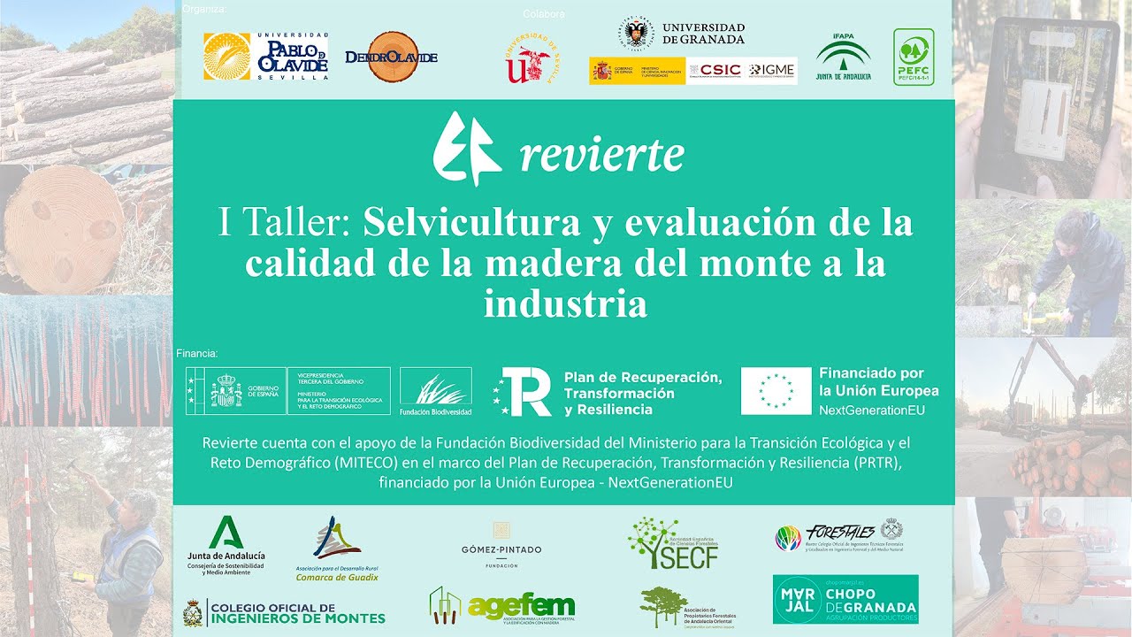 I Taller: Selvicultura y evaluación de la calidad de la madera del monte a la industria