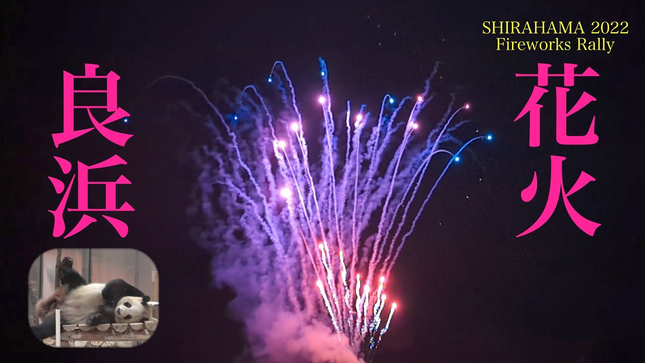 【夏の終わりに良浜🍯と花火🎆を】一応パンダ動画です😅/SHIRAHAMA 2022 花火ラリー/ワイプパンダ/白良浜 #ぽめぱん #PandaChannelbypomeranianfilm