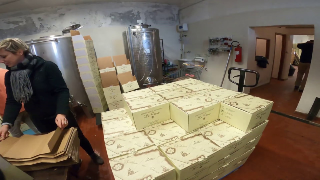 Imbottigliamento del vino a Capraia (5 marzo 2020)