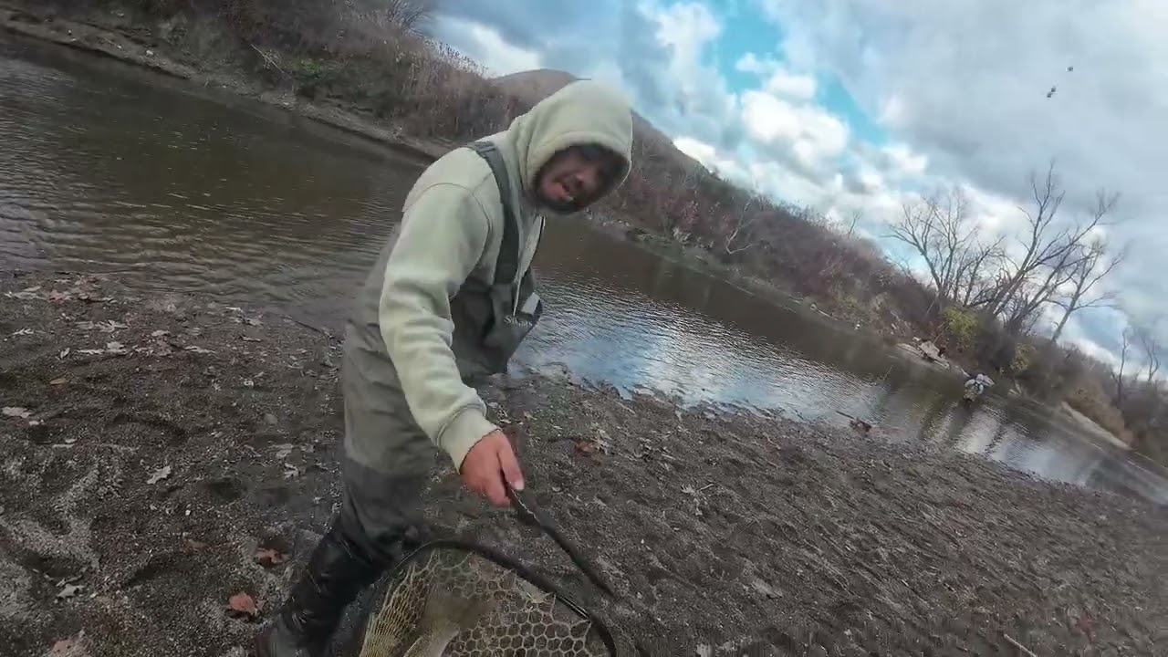 THREE SPAWN SACK STOOGES HOOK UP ON GIANT STEELHEAD