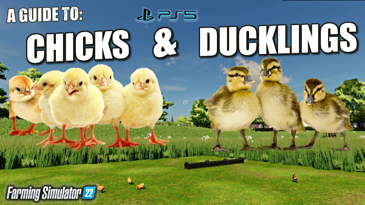 A Guide To: Chicks & Ducklings on Console - Ballyspring - Farming Simulator 22 - PS5.