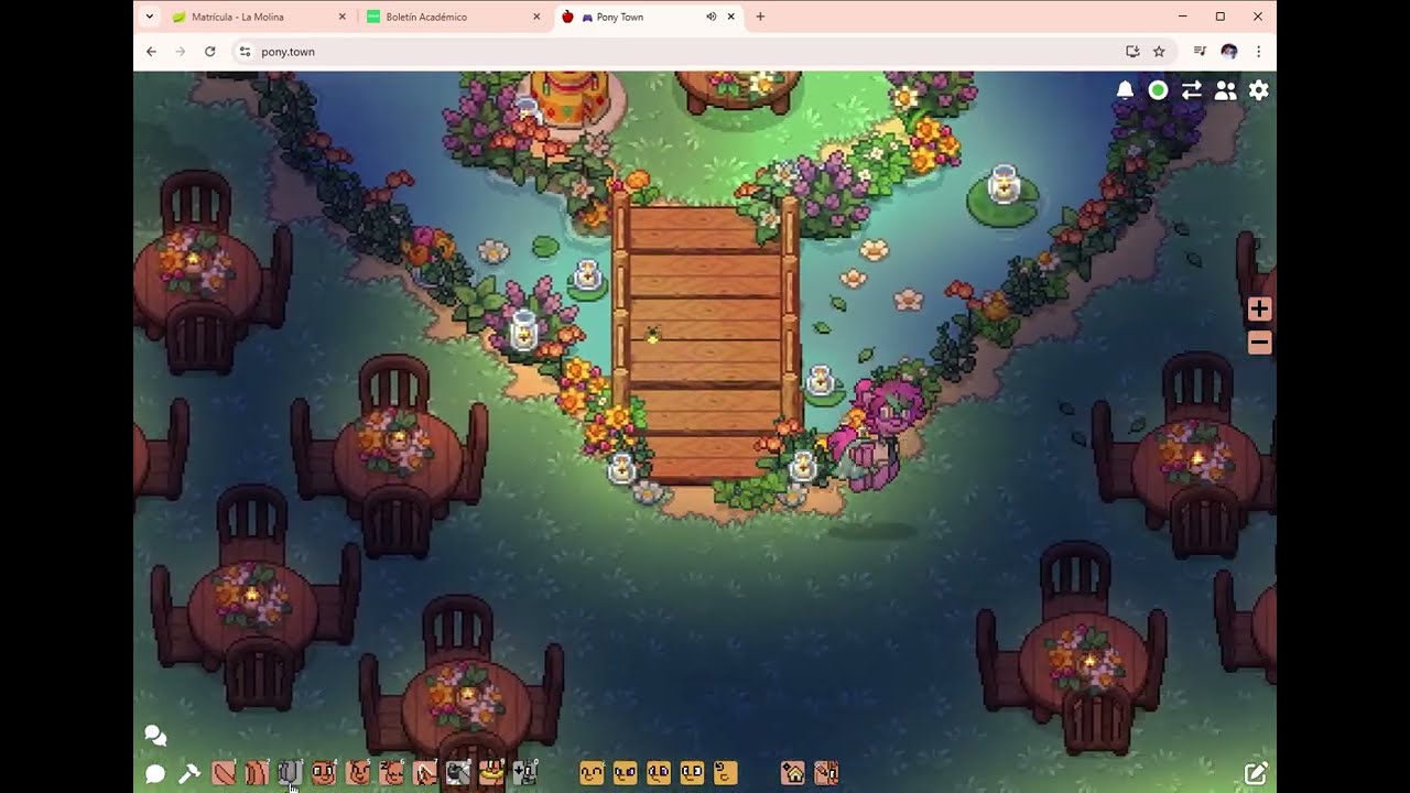 🎮Pony Town - mini tour