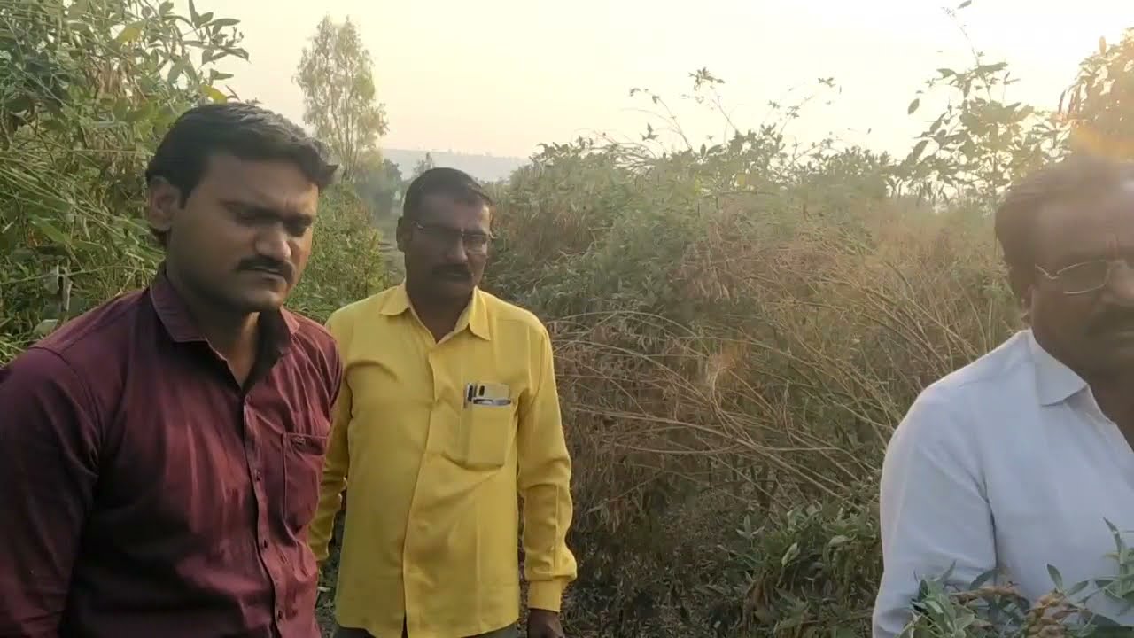 तुरीचे गजब व्यवस्थापन......