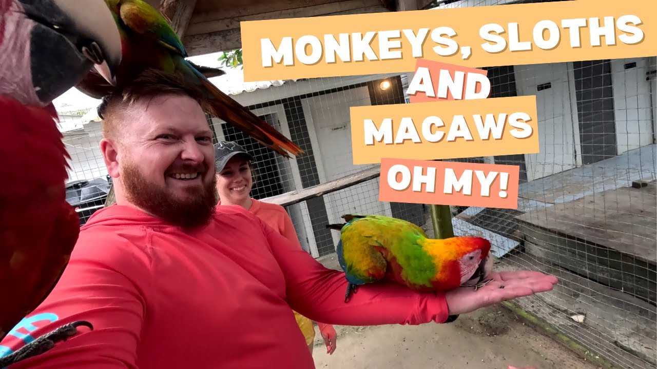 Weather cancellations in Roatan so we see Monkeys and Sloths! Norwegian Prima - Part 4!