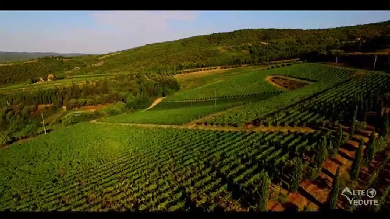 One Day in Chianti - Volpaia